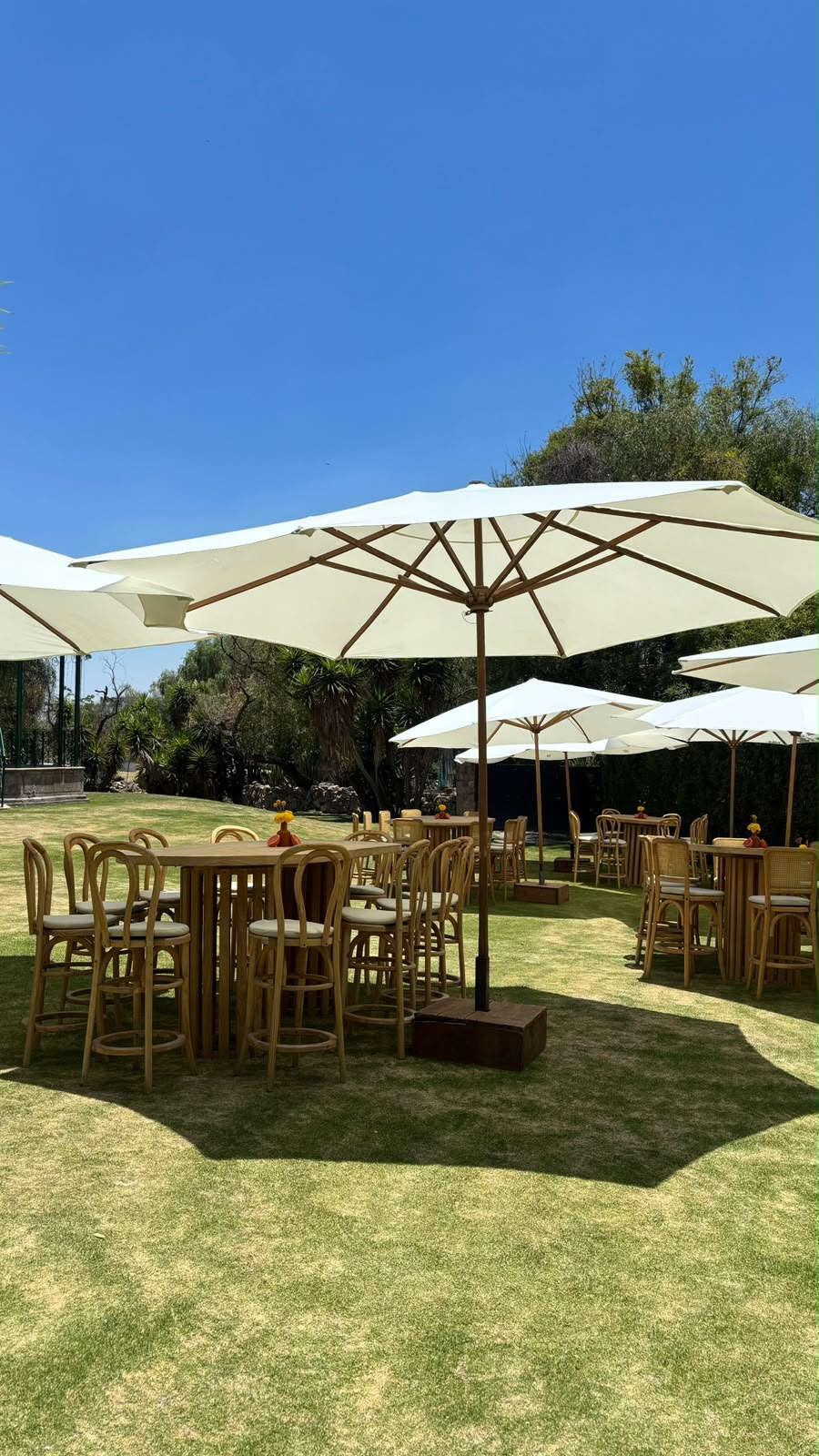 Mesas de madera con sombrillas blancas en un jardín soleado